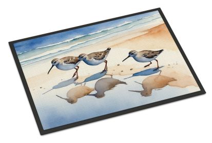 Sandpipers Doormat Front Door Mat Indoor Outdoor Rugs for Entryway, Non Slip Washable Low Pile, 24H X 36W