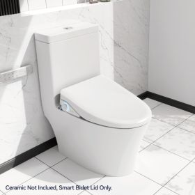 Smart Toilet With Side Knob Adjustable Heated Seat, Water Temperature And Pressure Adjustment Function, Portable Toilet With Automatic Nozzle Cle (Color: White)